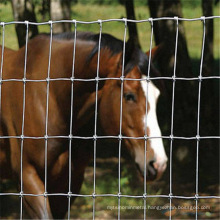 Low Carbon Steel Wire farm fence / Sport Fence / Field Fencing